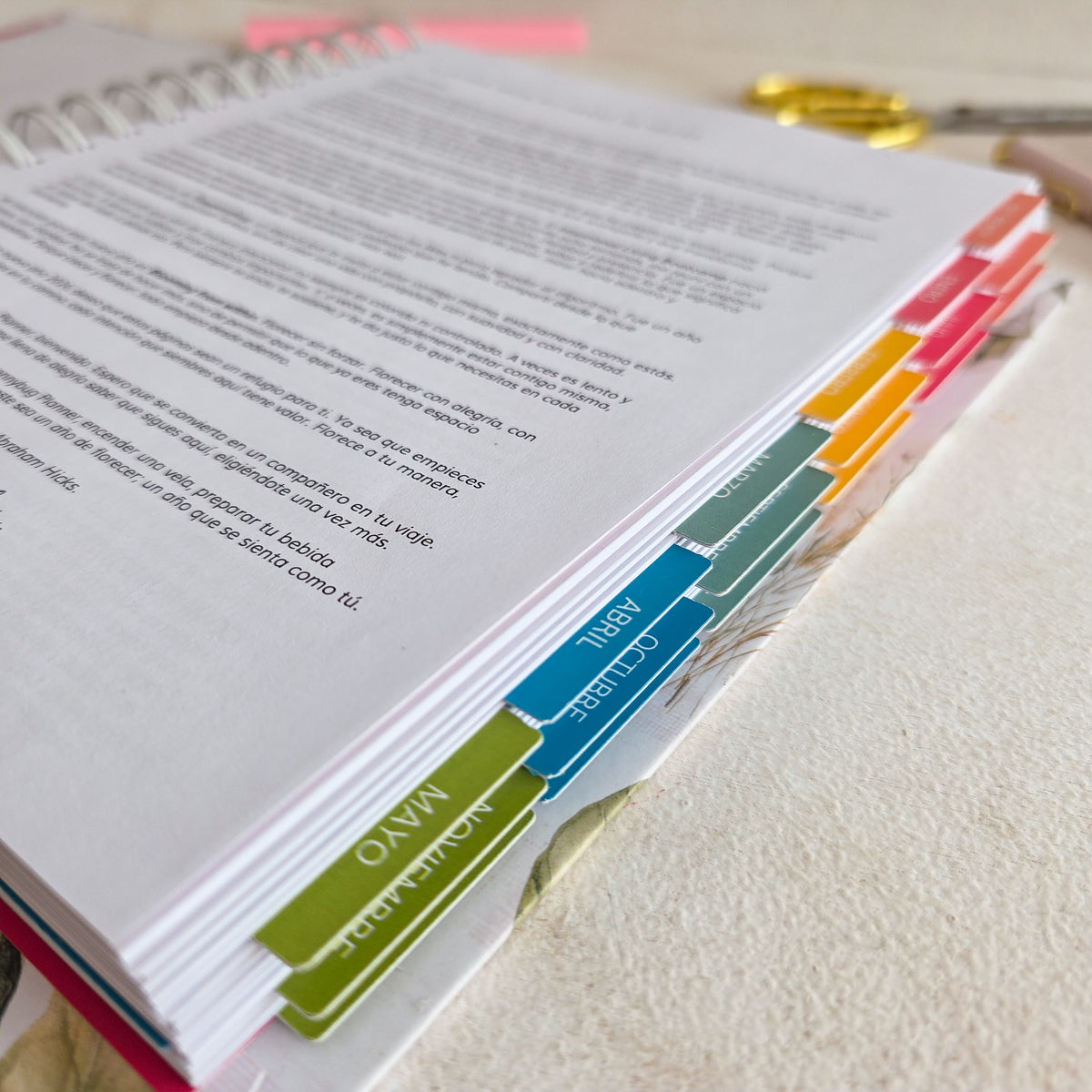 Thepennybug Planner 2026 - Limoncello Glow