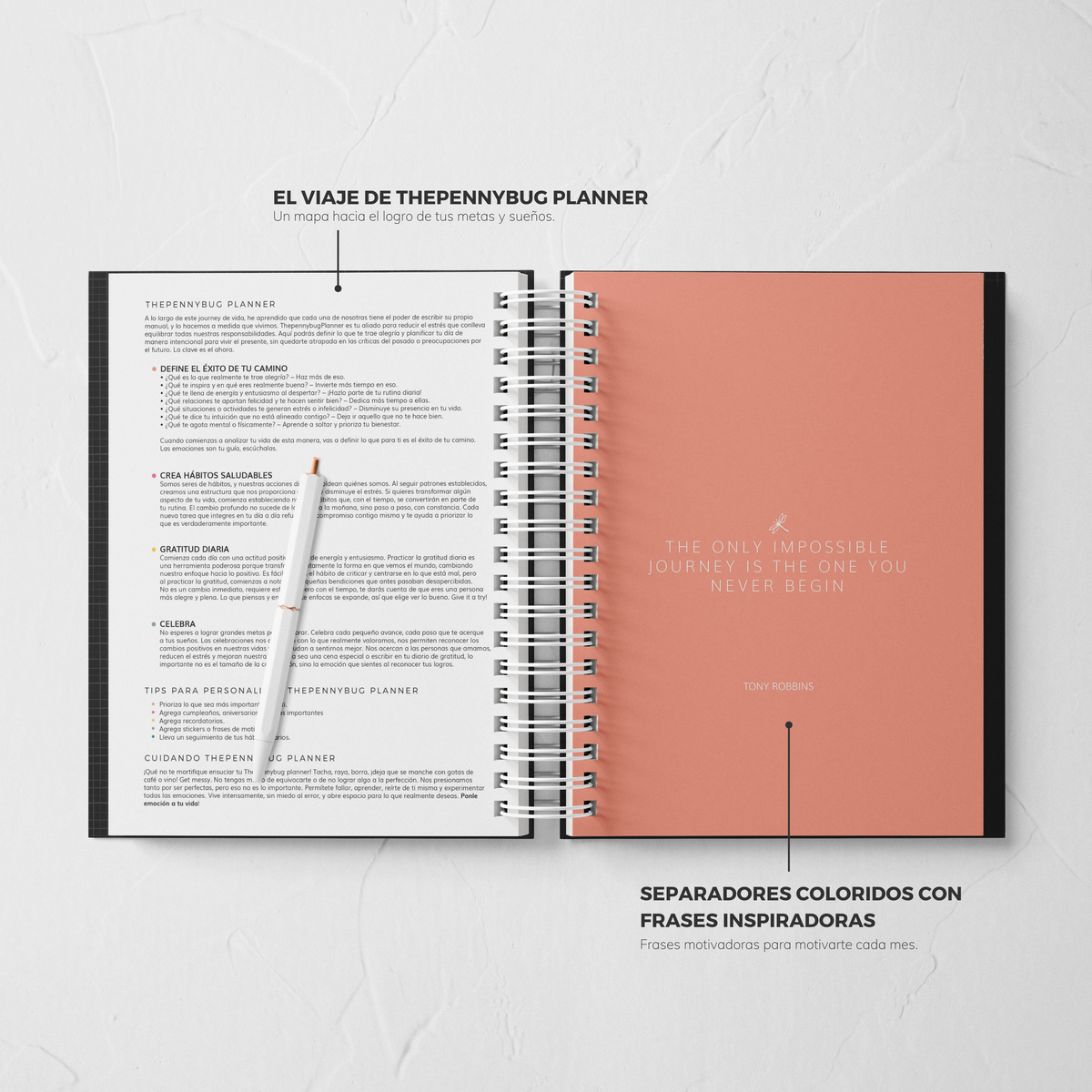 Thepennybug Planner 2025 - Olive Whisper