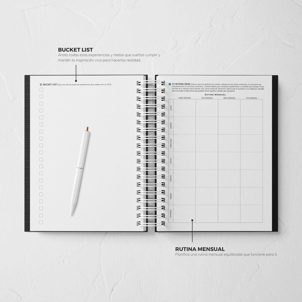Thepennybug Planner 2025 - Olive Whisper