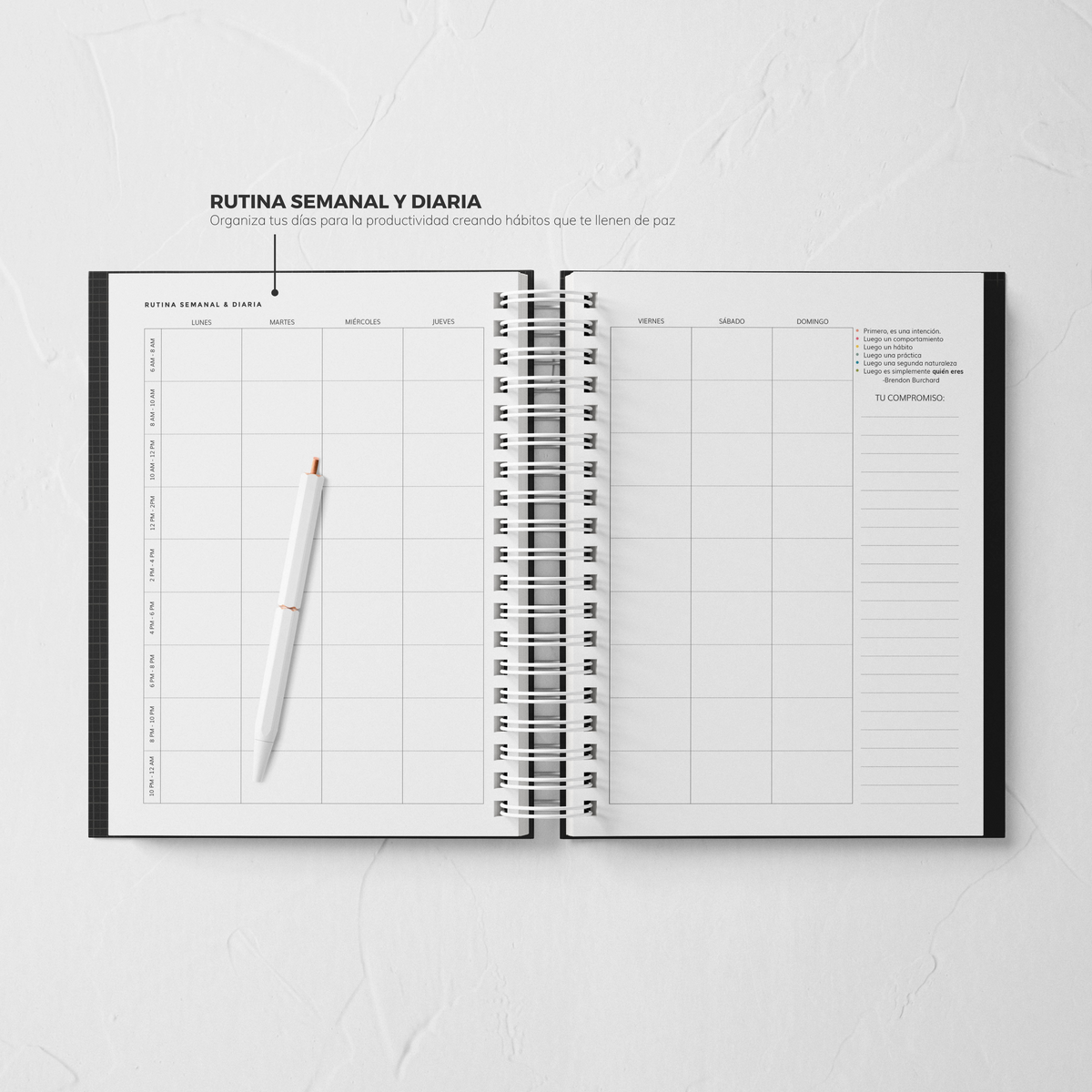 Thepennybug Planner 2025 - Olive Whisper