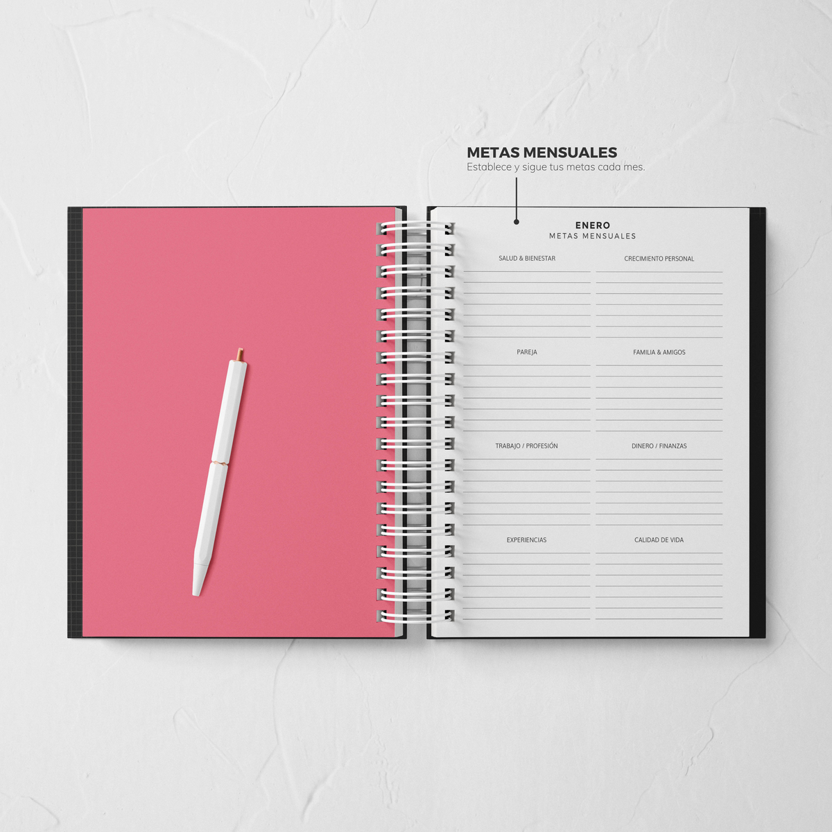 Thepennybug Planner 2025 - Olive Whisper