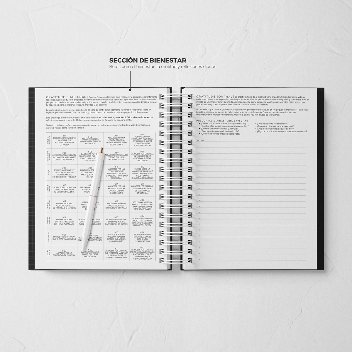 Thepennybug Planner 2025 - Olive Whisper