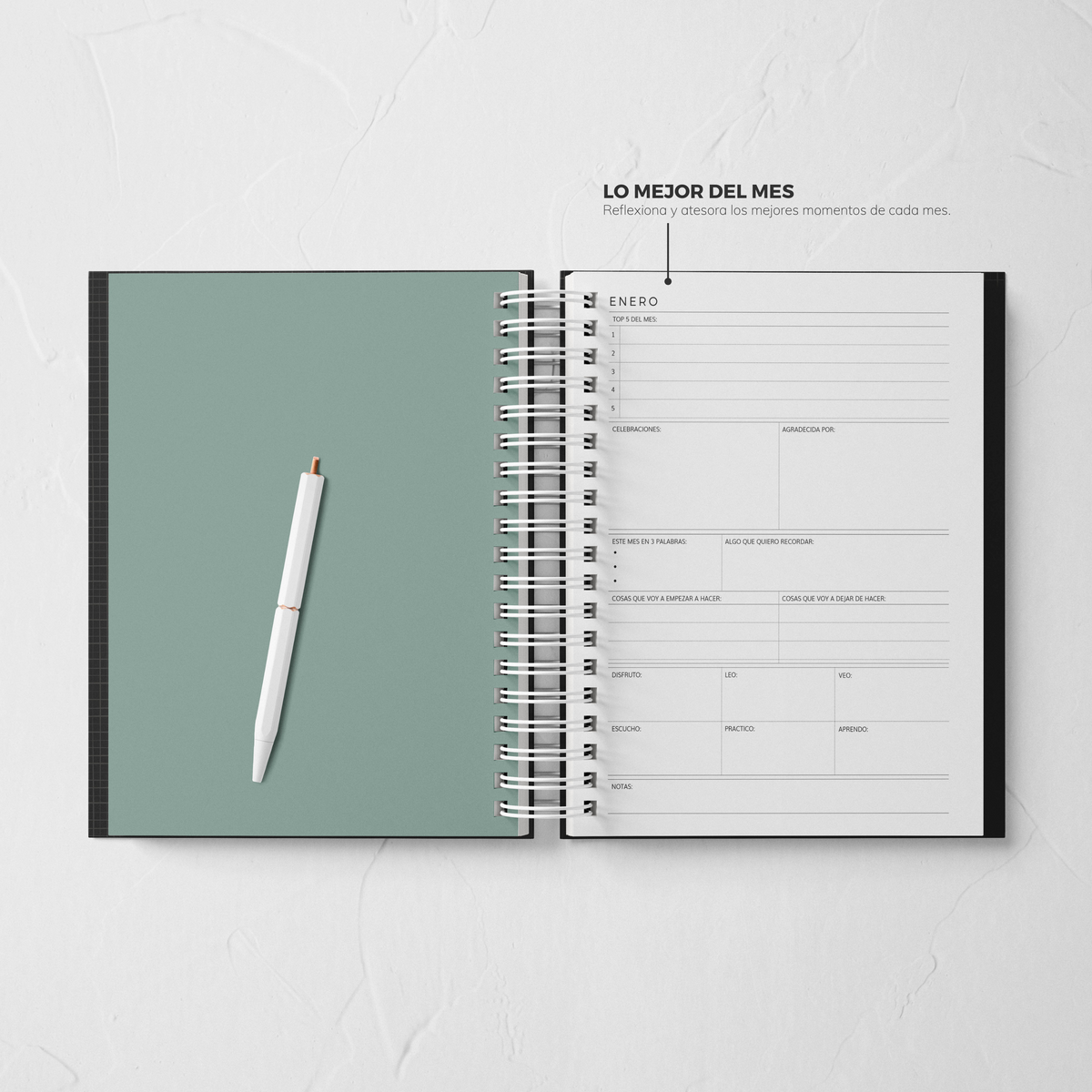 Thepennybug Planner 2025 - Olive Whisper